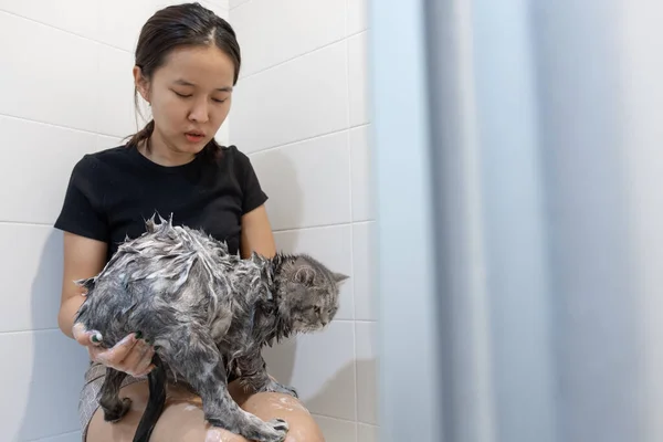 Mujer Asiática Bañándose Gato Bañera Gato Escocés — Foto de Stock