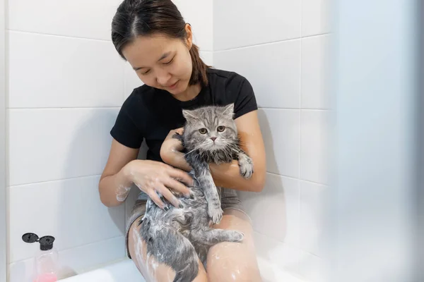 Asiático Mulher Banho Gato Banheira Escocês Gato — Fotografia de Stock