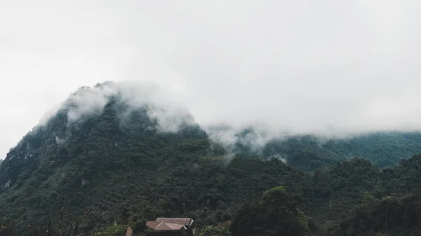 움직이는 — 스톡 사진