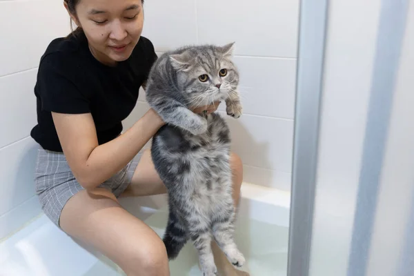 Femme Asiatique Bain Chat Dans Baignoire Chat Écossais — Photo