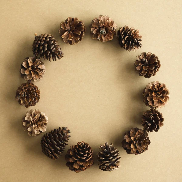 Pinecone Brown Background Circle Composition Flatlay — Stock Photo, Image