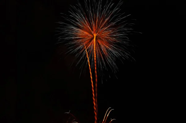 Fireworks Night Night Pyrotechnics — Stock Photo, Image