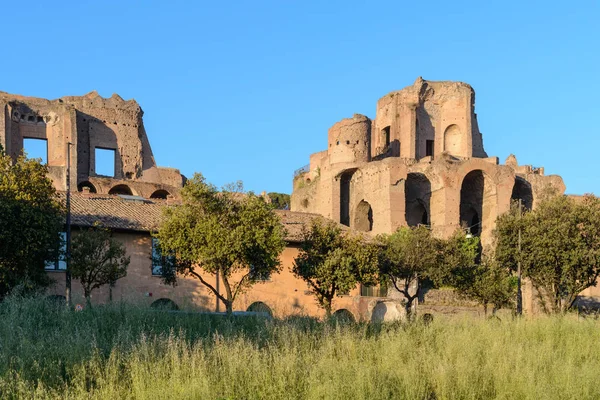 Circo Máximo Ruínas Italiano Circo Massimo Antigo Estádio Corrida Carruagens — Fotografia de Stock