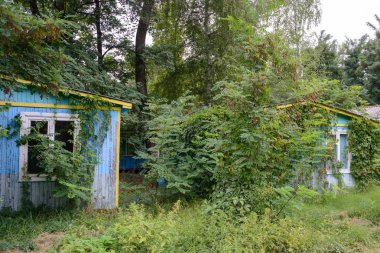 Bazı yakınındaki Kharkiv Ukrayna ormanda cottage mahvetti