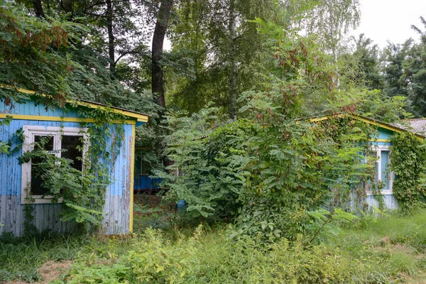 Some Ruined Cottage Ukrainian Forest Kharkiv — Stock Photo, Image