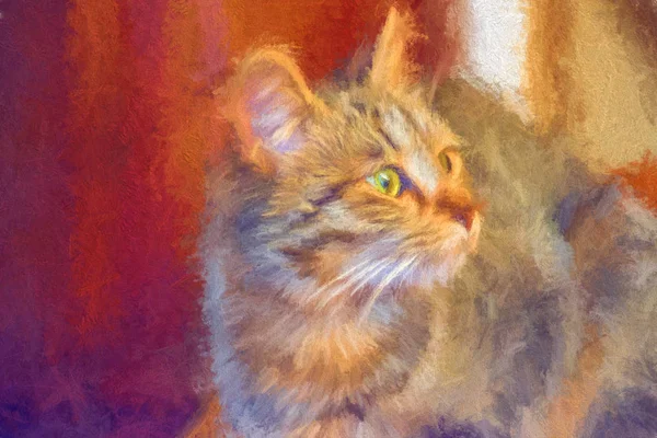 Cat soyut resim