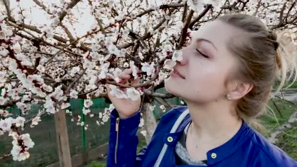 Girl Enjoying Cherry Blossoms Girl Sniffs Flowering Cherry Tree Early — Stock Video