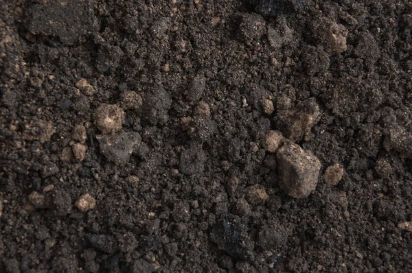 toprak doku ile koyu arka plan