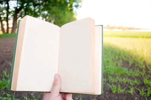 Hombre Sostiene Sus Manos Libro Abierto Aire Libre — Foto de Stock