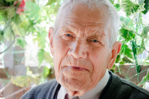 Büyükbabasının Portresi Yaşlı Adam Gülümseyen Kamera Bakıyor — Stok fotoğraf