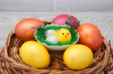 Gri bir arka plan üzerinde ahşap bir sepet üzerinde tavuk ile Paskalya yumurtaları. Paskalya ile tebrik kartı.