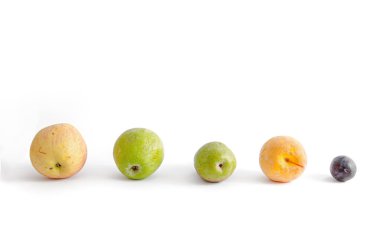 Elma, armut, erik ve şeftali beyaz bir arka plan üzerinde üst üste yalan. Beyaz arka planda meyve. Meyvelerin arka planı.