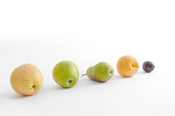Pommes Poires Prunes Pêches Trouvent Rangée Sur Fond Blanc Fruit — Photo
