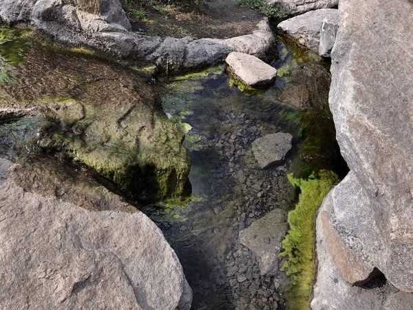 Riacho Com Musgo Verde Entre Grandes Pedras Cinzentas Pedras Cobertas — Fotografia de Stock
