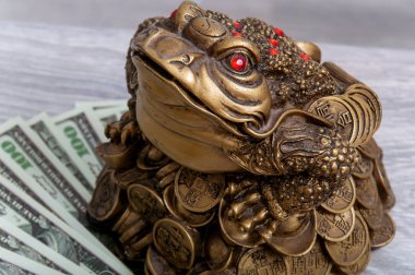Bozuk paralı altın kara kurbağası paranın üzerine oturur. Kurbağa ve dolar. Feng Shui.