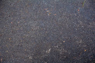 Yağmurdan sonra çimenlerle ıslak siyah asfalt