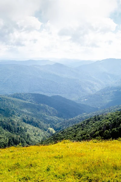 手前には雲と黄色の芝生が広がる青い空の山の風景 夏の山の中で休暇 垂直表示 — ストック写真