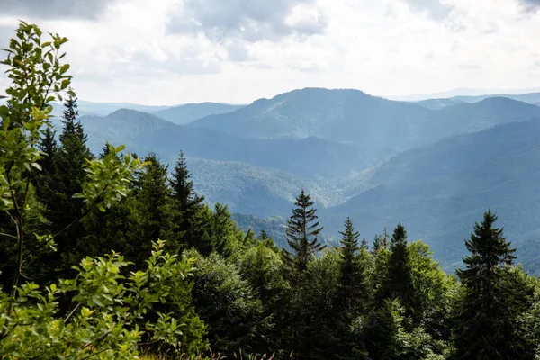 Bergslandskap Med Blå Himmel Med Moln Och Grön Skog Förgrunden — Stockfoto