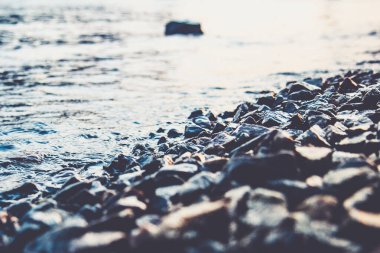 Deniz kıyısında bir sürü ıslak çakıl taşı var. Yakın çekim doğal fotoğraf. Yaz günü. Bir sürü kaya ve suyun sakin ve rahatlatıcı fotoğrafı.