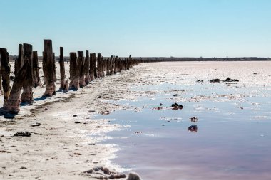 Güzel bir ahşap çit manzarası, mavi gökyüzü ve pembe göl. Ukrayna 'da pembe tuz gölü. Yazın seyahat.