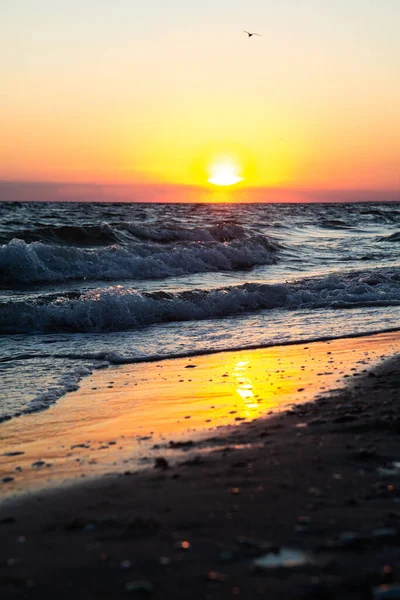 Dalgalar ve güzel renkli günbatımının yansımasıyla okyanus sahili. Dikey görünüm