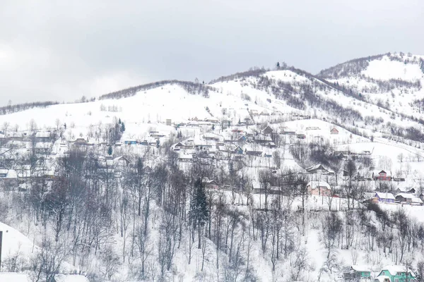 Vinterfjällslandskap Med Träd Höga Toppar Och Massa Träd Med Snö — Stockfoto