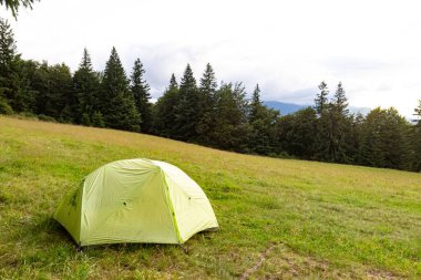 Green tent on hillside in mountains during early autumn. Copy space