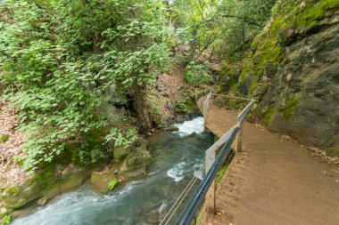 Hermon akışı (Banias) doğa rezerv, Kuzey İsrail asılı patika