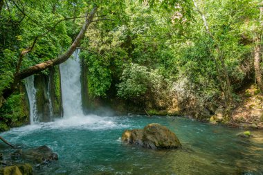 Hermon akışı (Banias) Doğa Rezervatı ' Kuzey İsrail Banias (Banyas) şelale