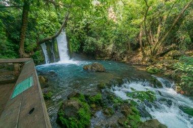The Banias (Banyas) waterfall in the Hermon Stream (Banias) Nature Reserve, Northern Israel clipart