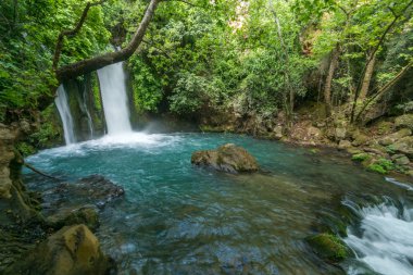 Hermon akışı (Banias) Doğa Rezervatı ' Kuzey İsrail Banias (Banyas) şelale