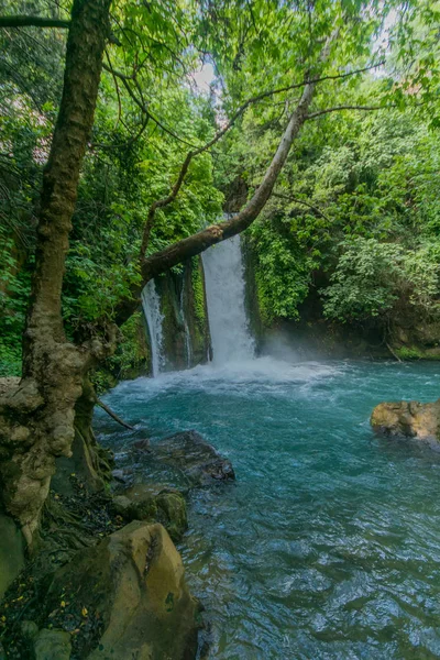 Banias Banyas Waterfall Hermon Stream Banias Nature Reserve Northern Israel — Stock Photo, Image