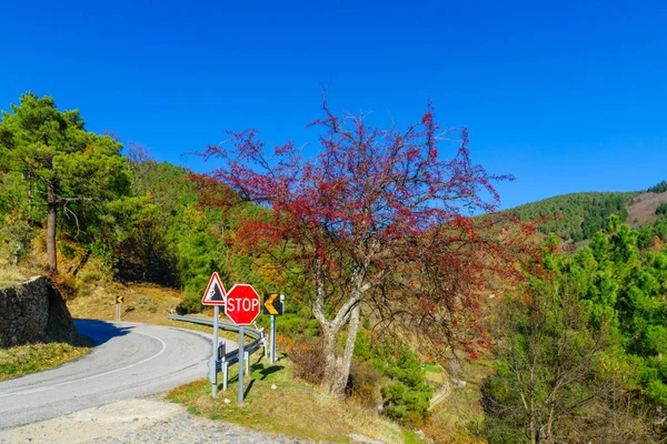 Landscape Serra Estrela Mountain Range Road N232 Portugal — Stock Photo, Image