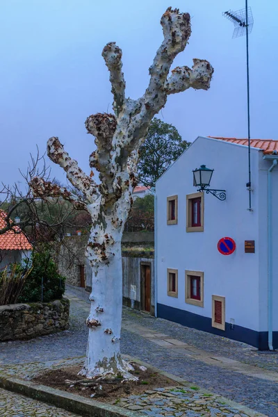 Pohled Ulici Historické Staré Město Miranda Douro Portugalsko — Stock fotografie