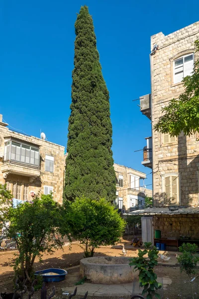 Ördekler, Hadar Hacarmel mahallede, Haifa, İsrail ile eski bir bina Bahçe