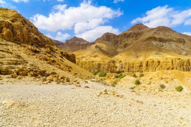 Manzara Ein Gedi doğa Rezervatı ' Judaean çöl, Güney İsrail çöl kayalıklarla