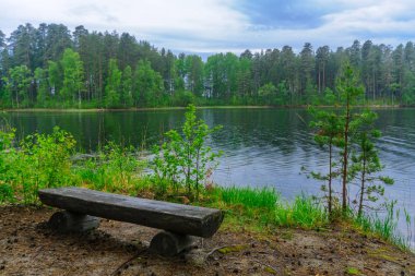 Peyzaj göl ve orman Punkaharju sırt boyunca. Shouthern Savonia, Lakeland bölge, Finlandiya