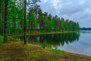 Peyzaj göl ve orman Punkaharju sırt boyunca. Shouthern Savonia, Lakeland bölge, Finlandiya