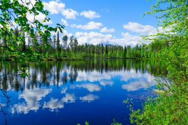 Göller ve yansımaları Taipaleenoja, Posio, Lapland, Finlandiya yakınındaki peyzaj