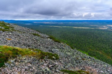 Ukko-Luosto düştü, Pyha-Luosto Milli Parkı'nda, Lapland, Finlandiya zirvesine üzerinden manzara