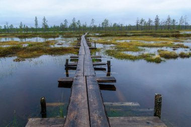 Duckboards Tunturiaapa iz, Pyha-Luosto Milli Parkı'nda, Lapland, Finlandiya boyunca bir bataklık üzerinde patika