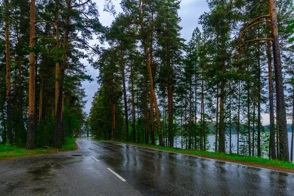 Silnice Lesní Hřebeni Punkaharju Shouthern Savonia Lakeland Regionu Finsko — Stock fotografie