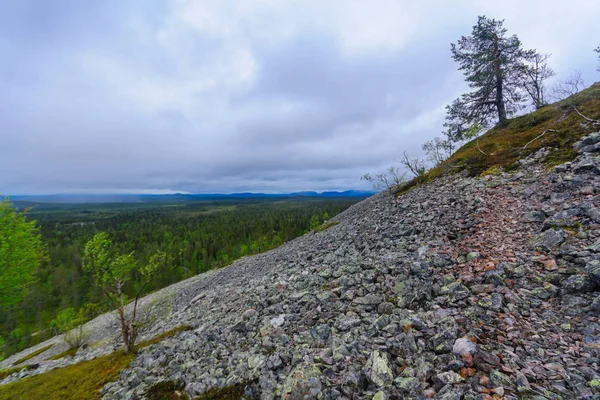 Landschap Van Top Van Ukko Luosto Viel Pyha Luosto National — Stockfoto