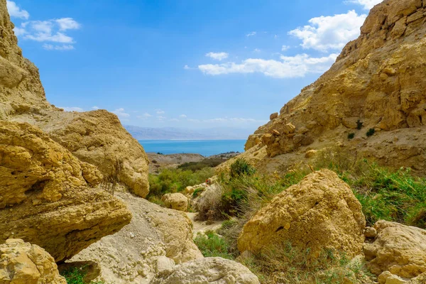 ナハール デビッド バレーとアイン ゲディ自然保護区 Judaean の砂漠 南イスラエルの死海の風景 — ストック写真