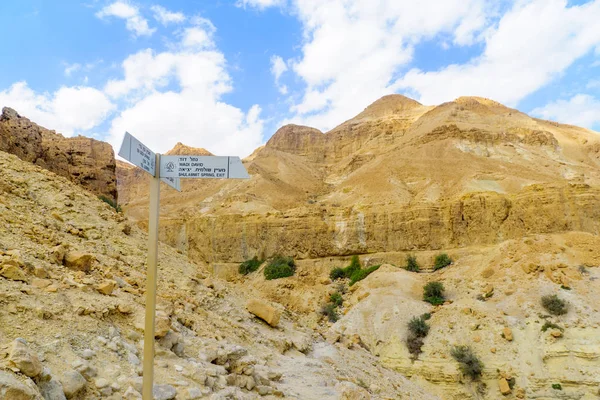 Yollar, Ein Gedi doğa Rezervatı ' Judaean çöl, Güney İsrail çöl için iki dilli yön işaretleri