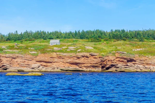 Perce Canadá Setembro 2018 Vista Ilha Boaventura Com Visitantes Focas — Fotografia de Stock