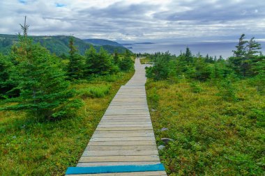 Chticamp, Amerika Birleşik Devletleri - 19 Eylül 2018: Gösterim manzarası Trail Cape Breton Highlands Milli Parkı, Nova Scotia, Kanada Turist