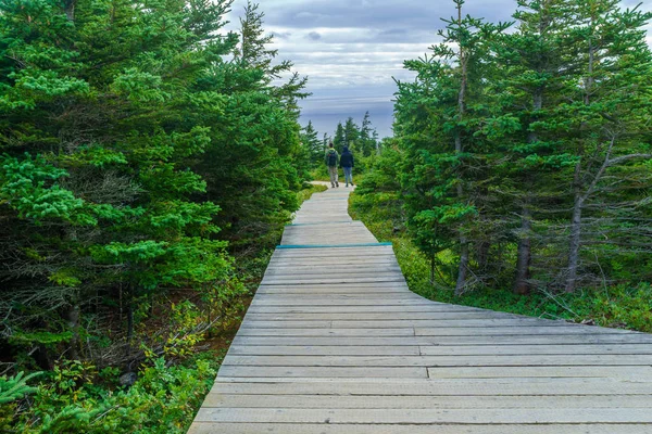 Chticamp Canadá Septiembre 2018 Vistas Del Sendero Del Horizonte Con — Foto de Stock