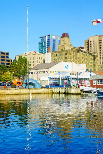 Halifax Canadá Setembro 2018 Vista Porto Centro Cidade Com Moradores — Fotografia de Stock