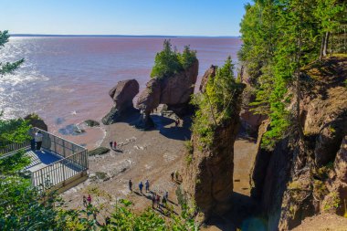 Hopewell Cape, Kanada - 24 Eylül 2018: Görünüm Hopewell Rocks ziyaretçi ile düşük gelgit. New Brunswick, Amerika Birleşik Devletleri